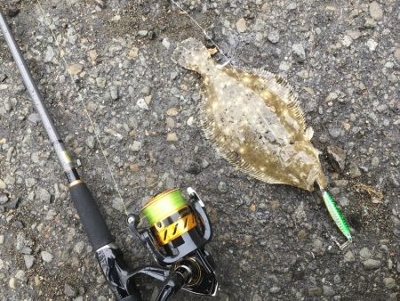 雪の降る中でジグサビキ